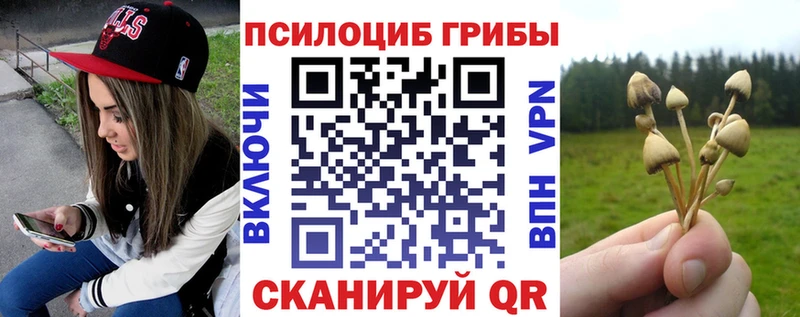 Галлюциногенные грибы Psilocybe  Сольцы 